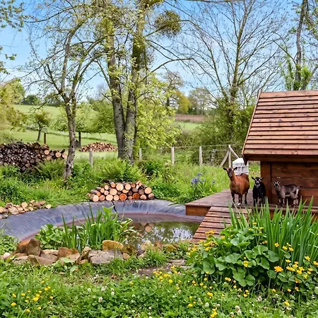 Iaks Keramik Viking & Mini-farm, Nature Immersion